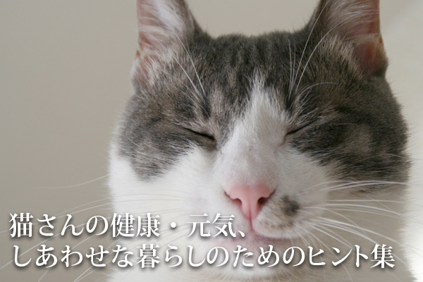 福猫本舗・猫さんの健康元気、しあわせな暮らしのヒント